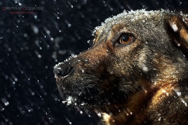 Сергей Крюков | Магнитогорск