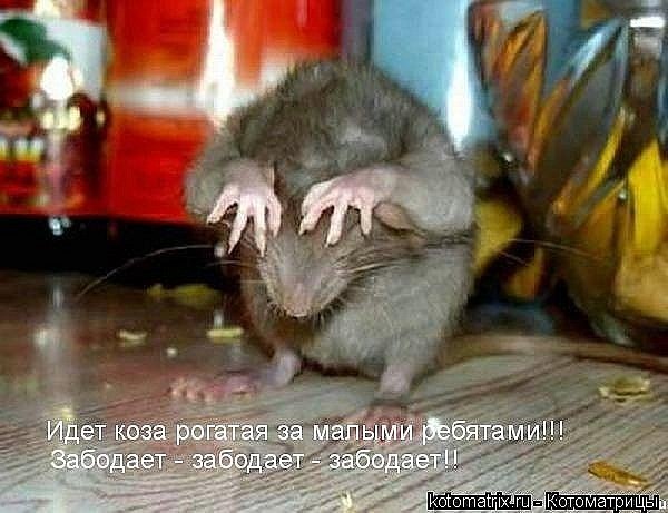 Виктория Круглова ♡·٠•●ツ ♡  ツ●•٠·♡ | Геническ