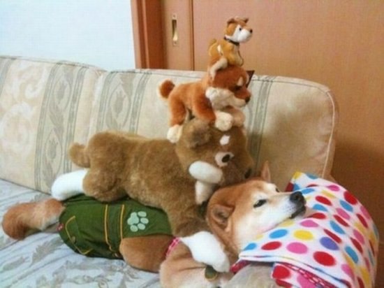 Никита Шавергин | Калуга