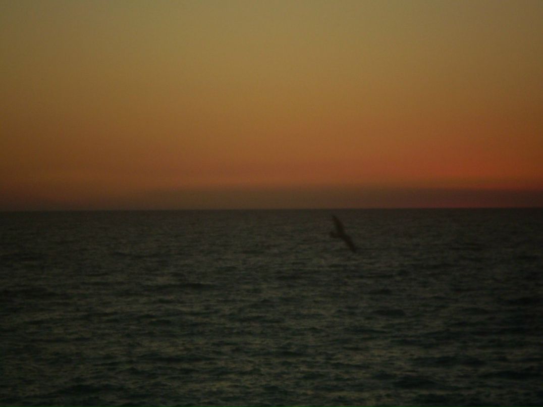 Мария Серёгина | Москва