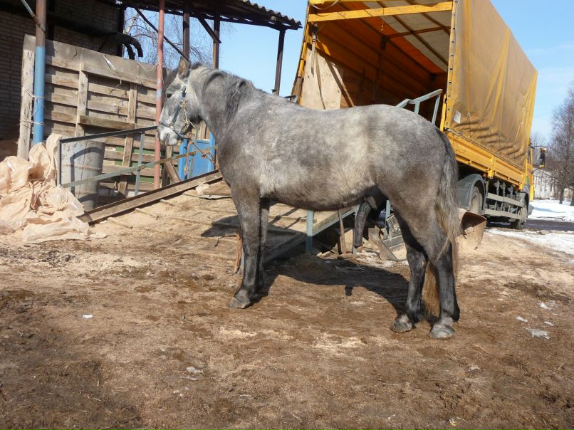 Сергей Киселёв | Санкт-Петербург