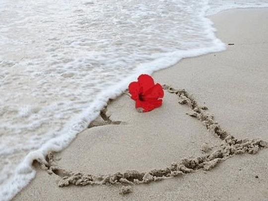 №162, Оксана Микитин, 33 года, Черкассы №162, Оксана Микитин, 33 года, Черкассы