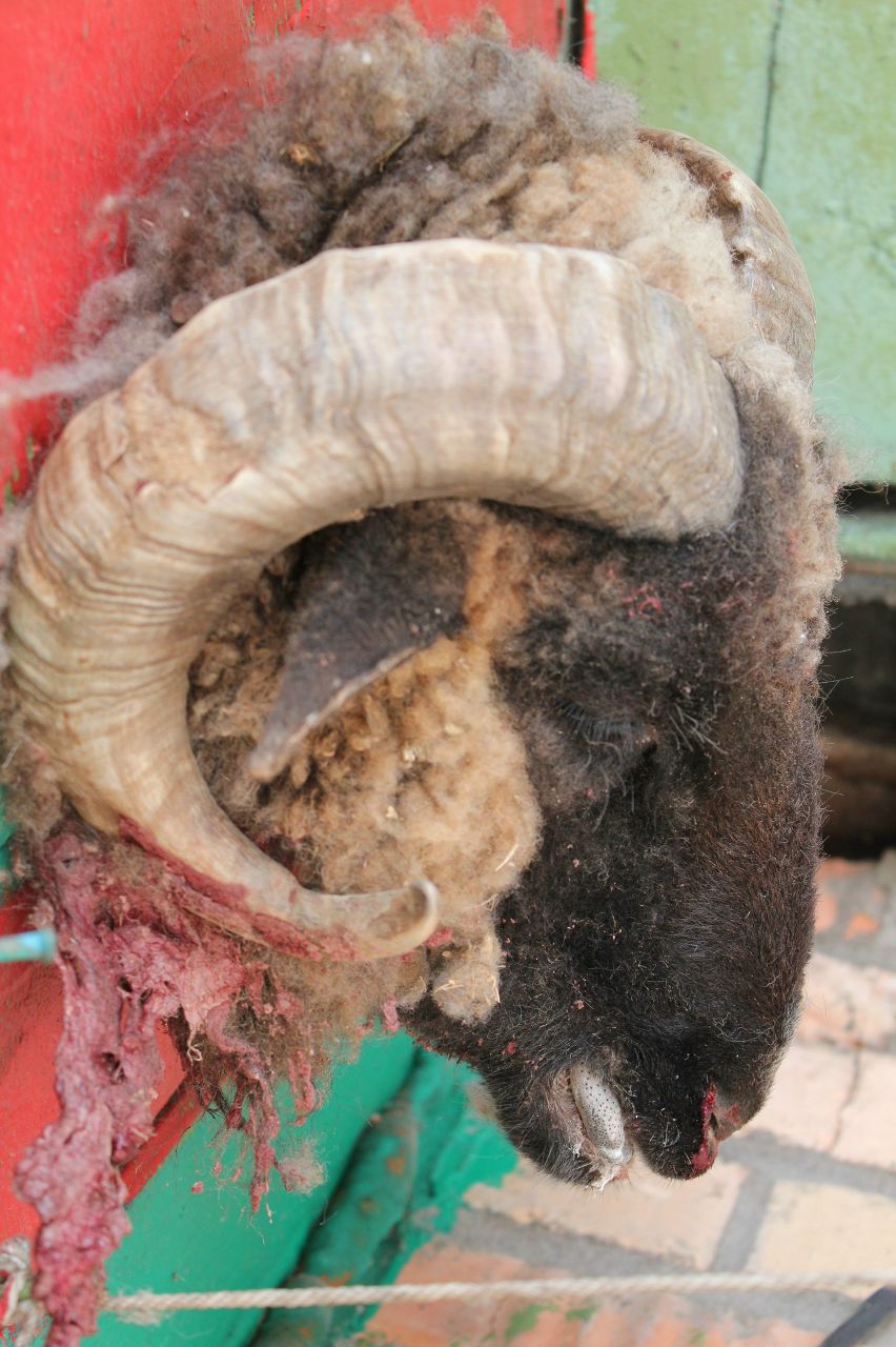 Полина Телегина | Владивосток