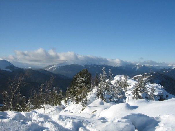 Наталія Тацишин-Войчишин | Ивано-Франковск