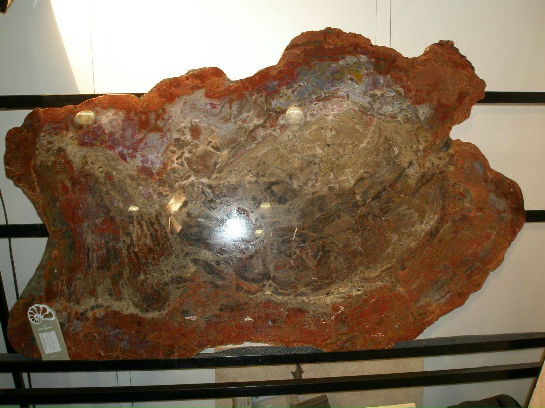 Татьяна Пащенко | Всеволожск