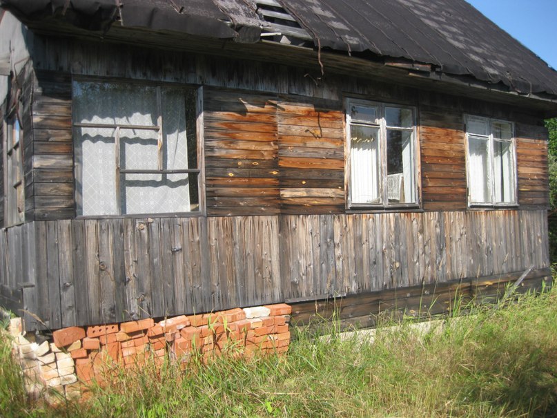 Елена Саломахина | Санкт-Петербург