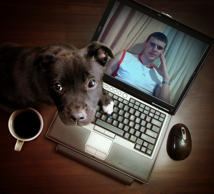 Андрей Юдицкий | 