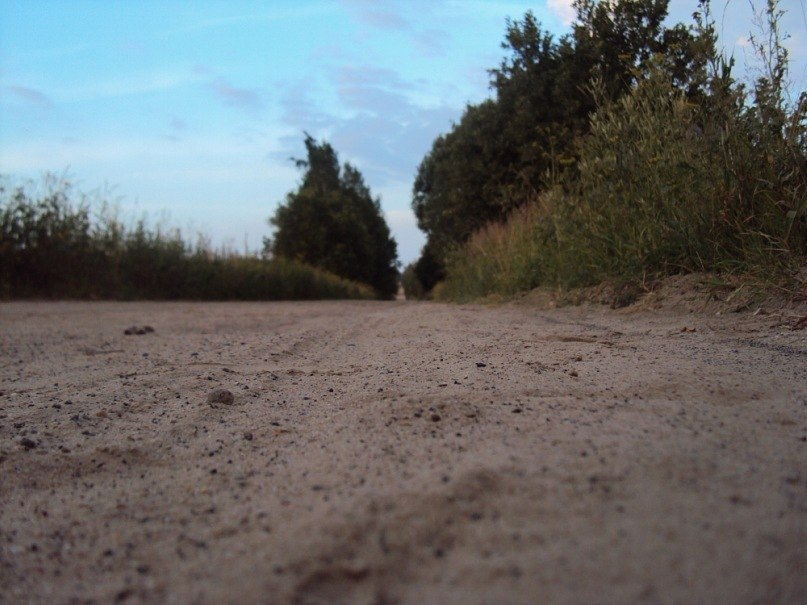 Андрей Петров | Москва