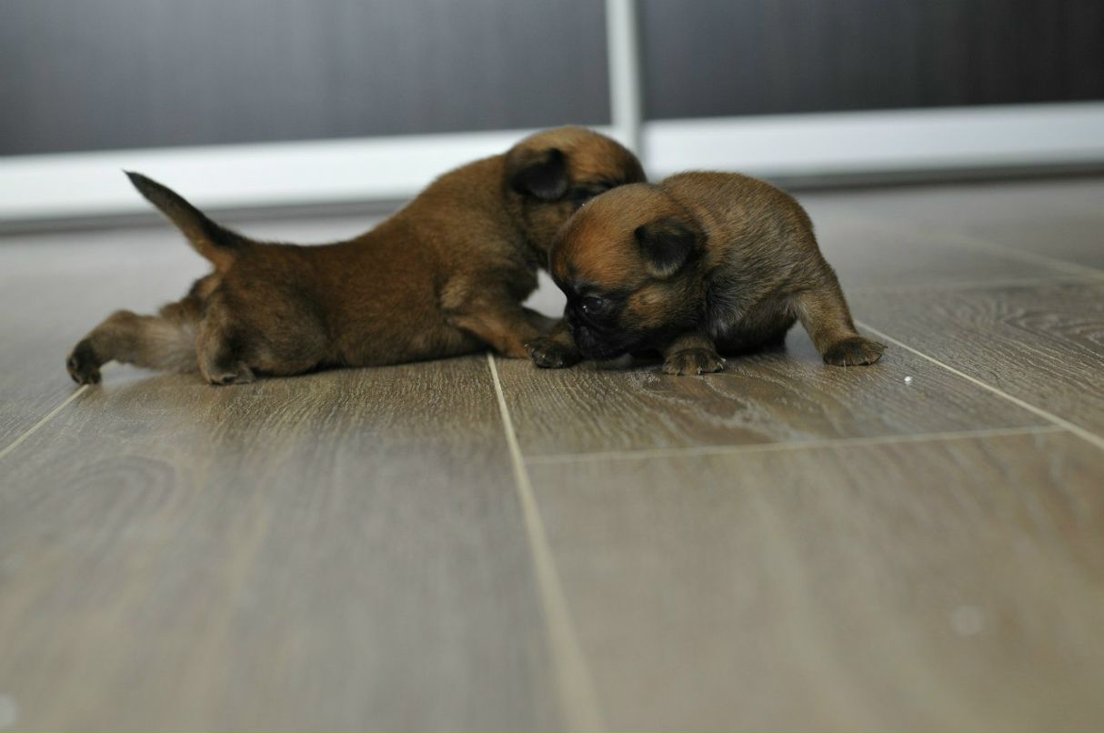 Алёна Котова | 