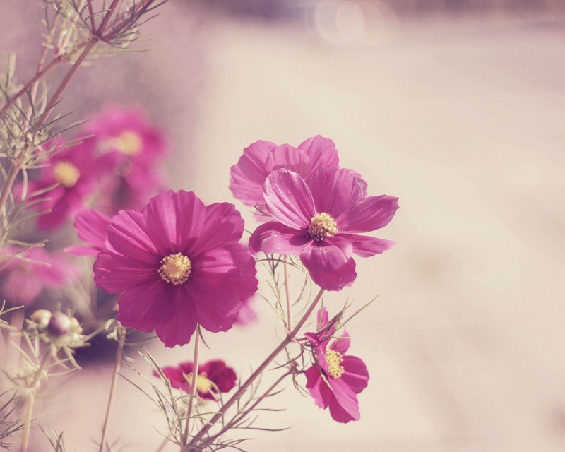 Леся Плотянская ღ♥ღ | Одесса