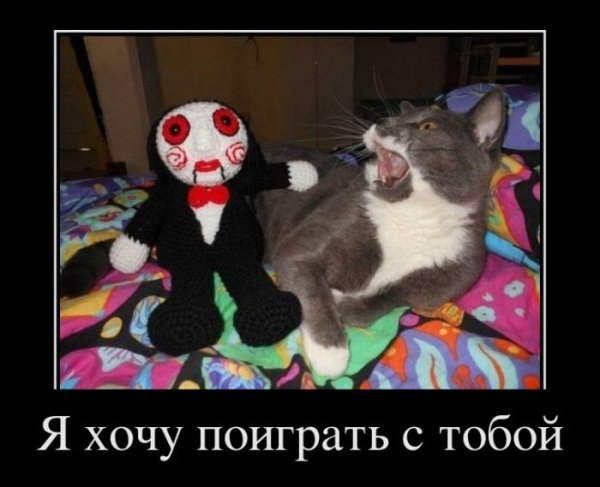 Ольга Зайцева | Харьков