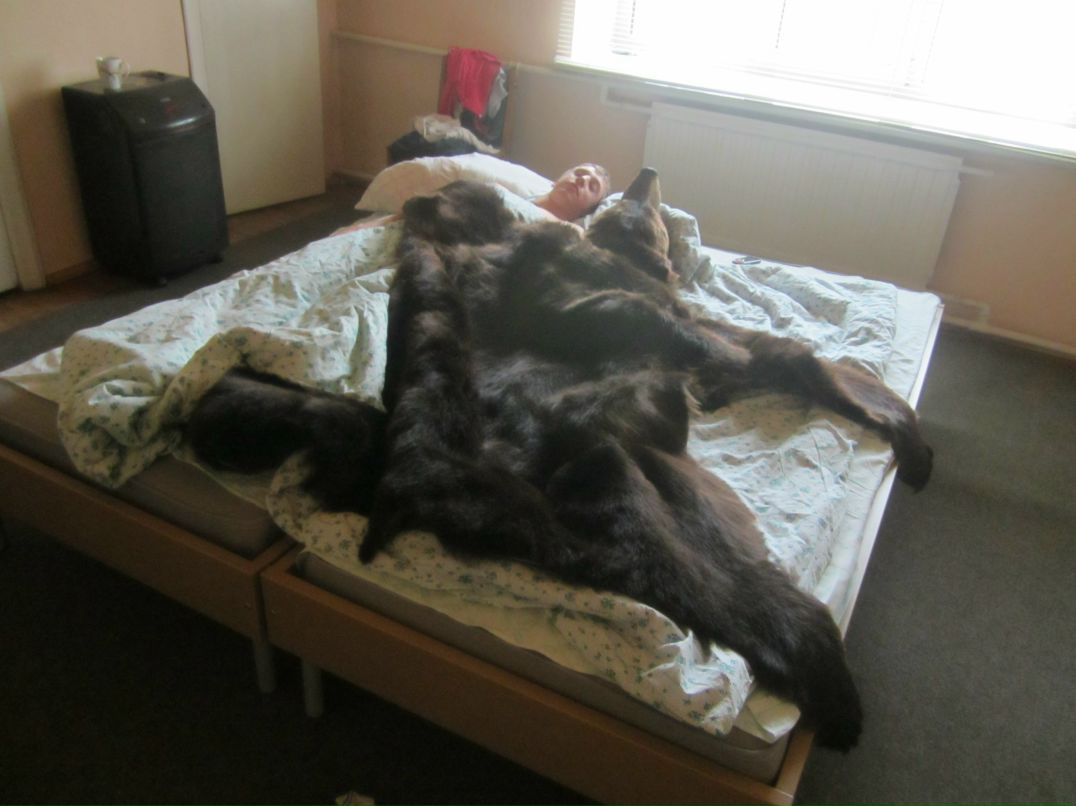 Виталий Житнухин | Санкт-Петербург