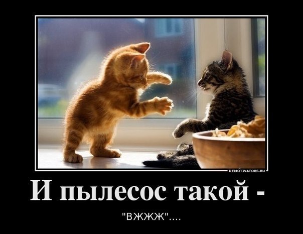 Лена Котмакова | Нижний Новгород