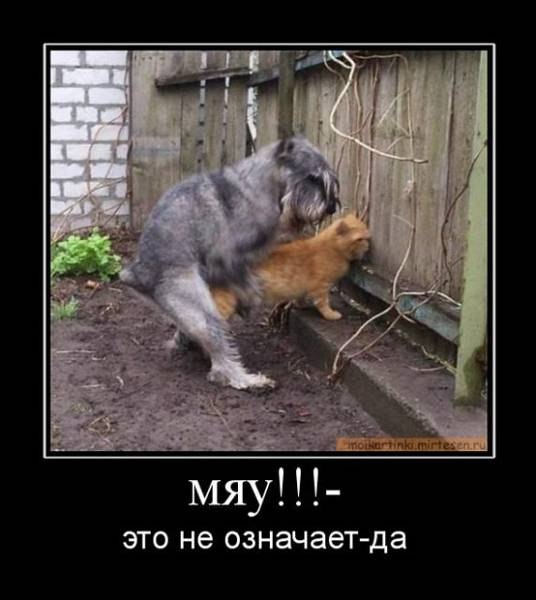 Михаил Сутягин | Курган