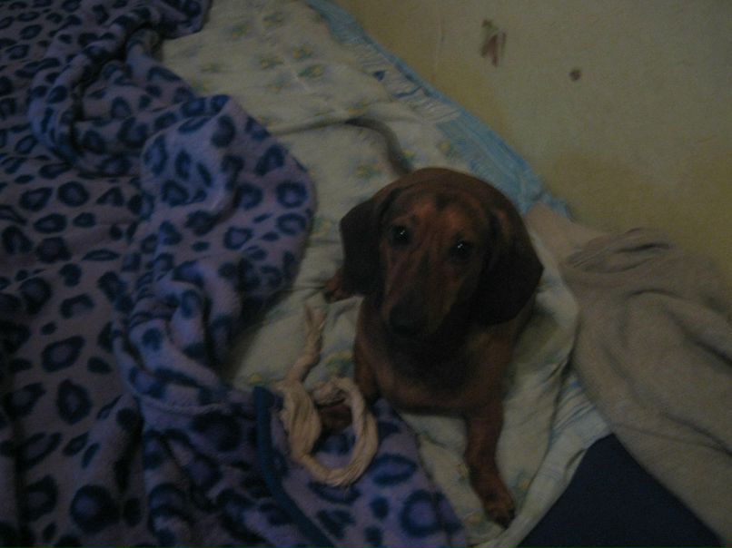 Виолетта Захватова | Москва