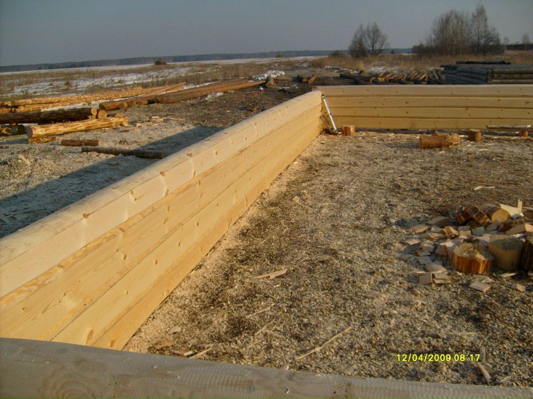 Алексей Алексеев alekseshkin | Москва