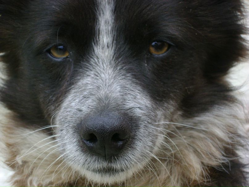 Элина Мазепа | Севастополь