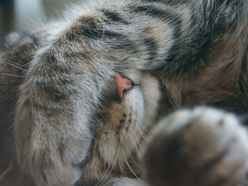 Ольга Ляшенко | Волгоград