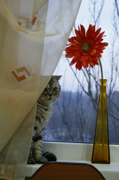 №14, Ольга Склярук, Киев №14, Ольга Склярук, Киев