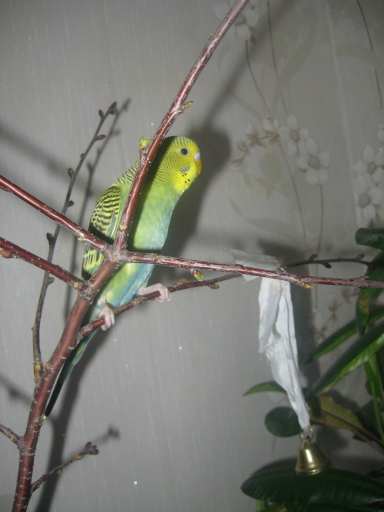 Оля Малыгина | Сумы