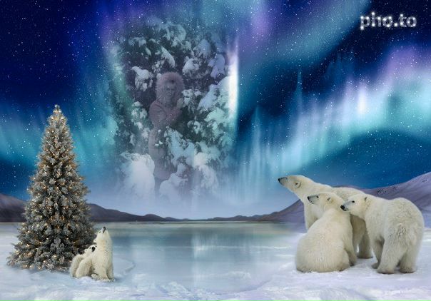 №61, Леся Коцкович-Гузовата, 37 лет, Долина №61, Леся Коцкович-Гузовата, 37 лет, Долина