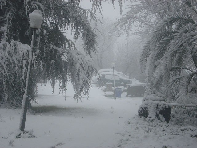 Артем Маланкин | Красноярск