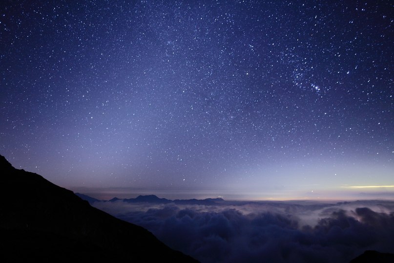 Olga Plesnevich | Москва