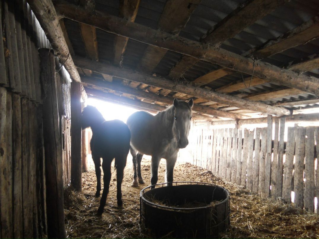 Екатерина Митрошина Олеговна | Уфа