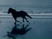 Оксана Сидорова | Москва