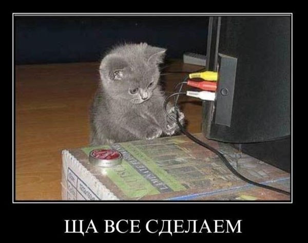 Михаил Дроздов | Устюжна