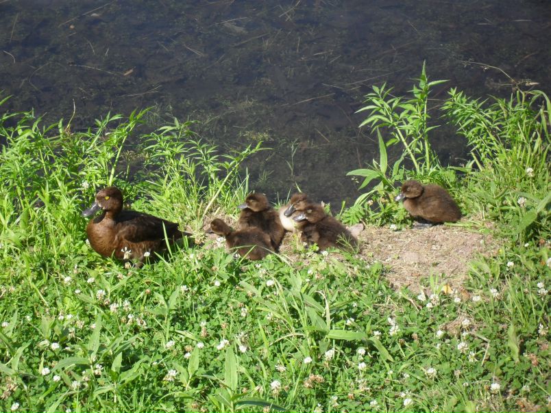 №64, Екатерина Каменецкая, Санкт-Петербург №64, Екатерина Каменецкая, Санкт-Петербург