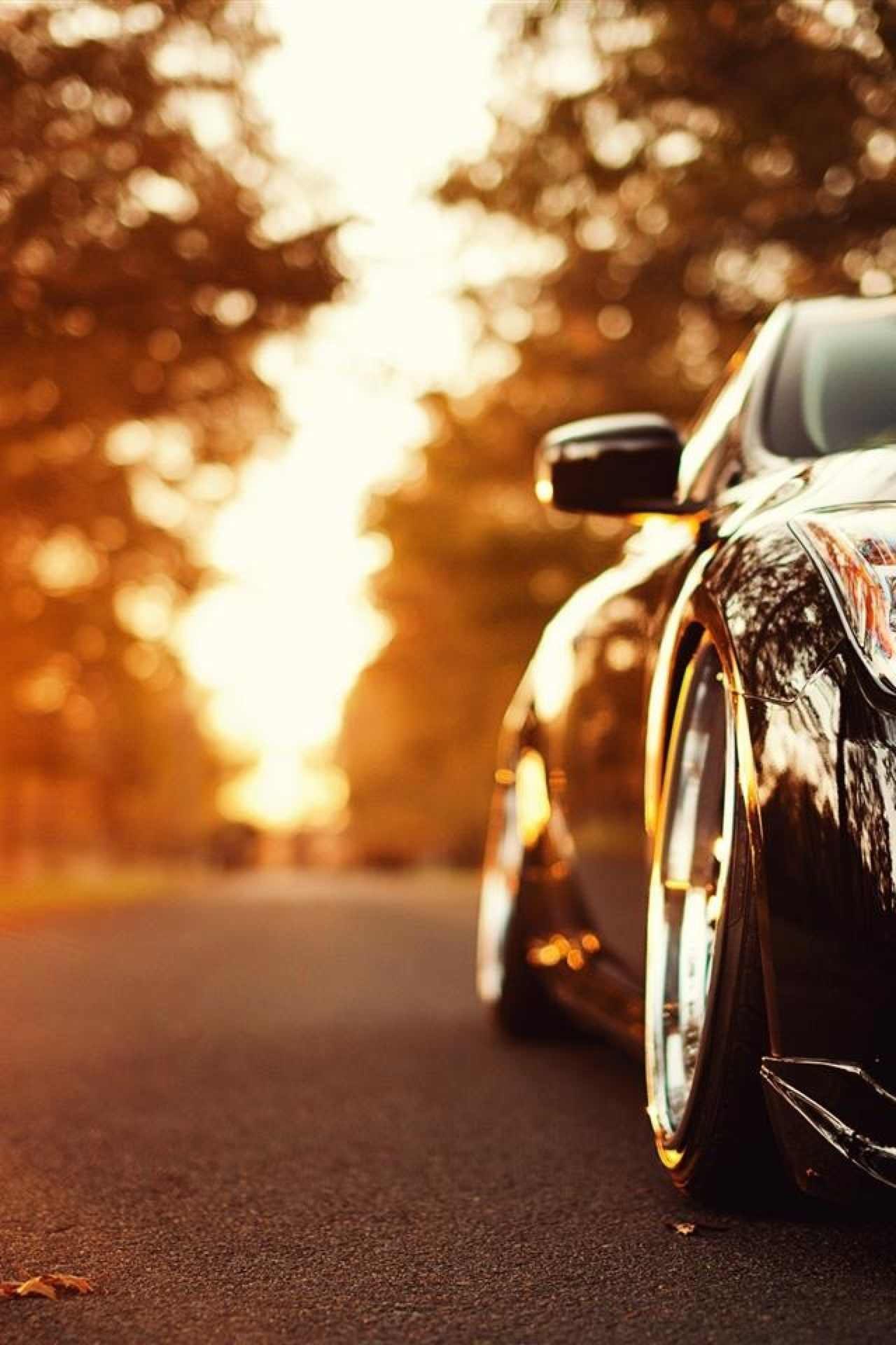 Дмитрий Францев | Москва