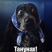 ОБСЕ заявила об уменьшении обстрелов на Донбассе - Цензор.НЕТ 5565