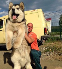 Сергей Дмитриев