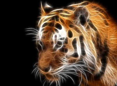 Андрей Рыжих, Россия, Москва