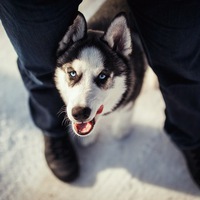 Александр Новиков