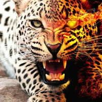 Александр Новиков