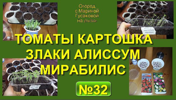 Урожайный Огород Магазин Семян