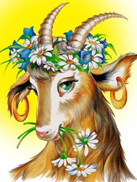 Татьяна Морозова