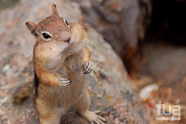 №171, Константин Сурков, Иркутск, Россия №171, Константин Сурков, Иркутск, Россия