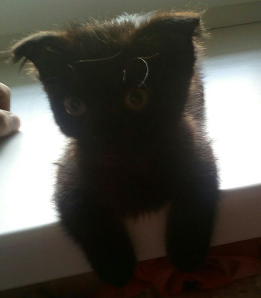 Витенко Евгений, Россия, Москва