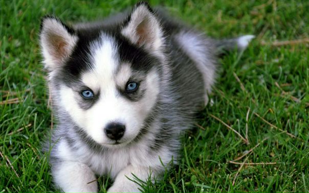 Юляша Проскурова, Россия, Москва