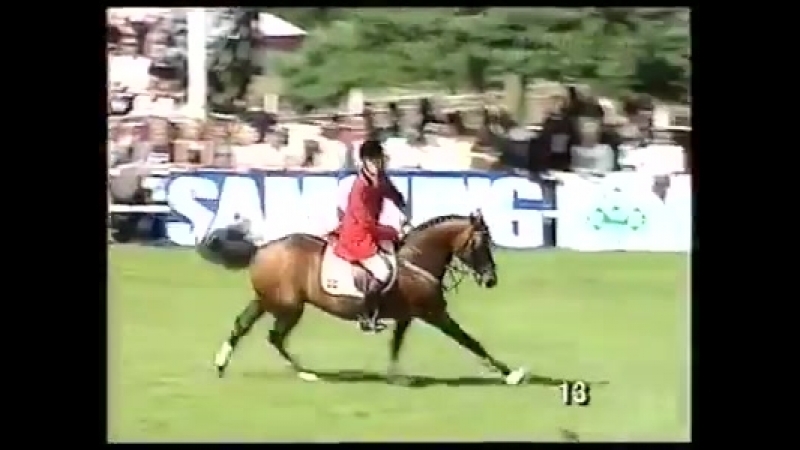 Quidam de Revel под седлом Thomas Velin, Falsterbo,