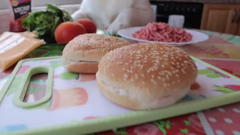 Funny Dog Makes Hamburger Golden Retriever Puppy