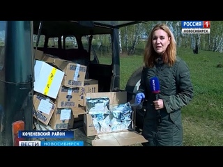 Нападения бешеных лис участились в регионе: ветеринары начали вакцинировать лесных обитателей