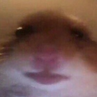 Анна Кушакова | 