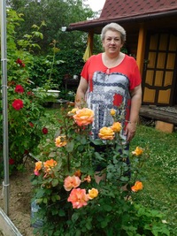 Людмила Корнеева