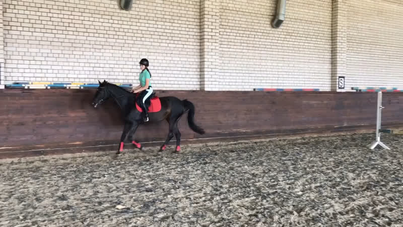 Видео от Horse