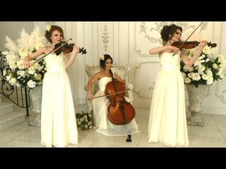 #СтрунноетриоDOLLS #weddingmusic #свадебнаямузыка Скрипка на мероприятия