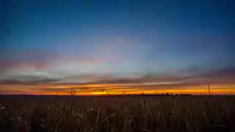 VID-20200205-WA0010.mp4